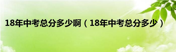 18年中考总分多少啊（18年中考总分多少）