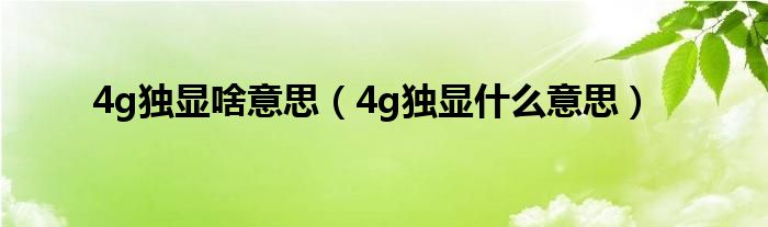 4g独显啥意思（4g独显什么意思）