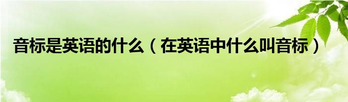 音标是英语的什么（在英语中什么叫音标）