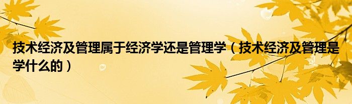 技术经济及管理属于经济学还是管理学（技术经济及管理是学什么的）