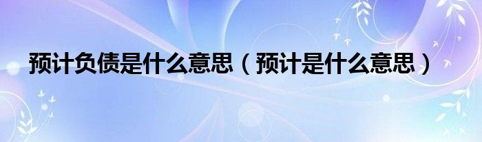 预计负债是什么意思（预计是什么意思）