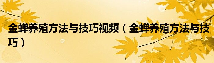 金蝉养殖方法与技巧视频（金蝉养殖方法与技巧）