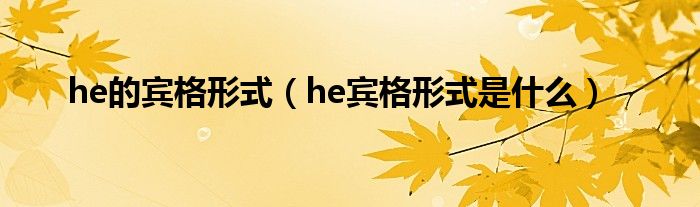 he的宾格形式（he宾格形式是什么）