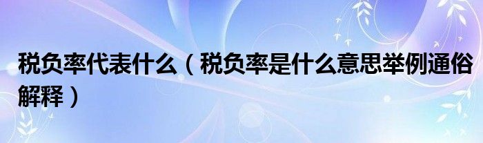 税负率代表什么（税负率是什么意思举例通俗解释）