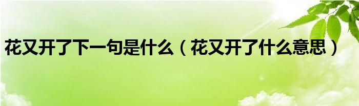 花又开了下一句是什么（花又开了什么意思）