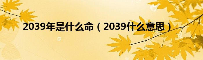 2039年是什么命（2039什么意思）