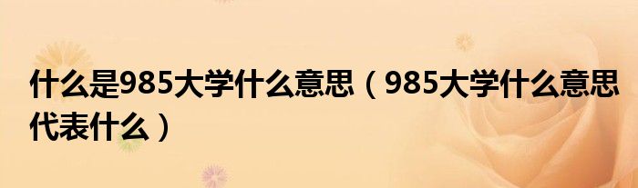 什么是985大学什么意思（985大学什么意思代表什么）