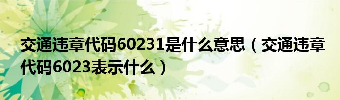 交通违章代码60231是什么意思（交通违章代码6023表示什么）