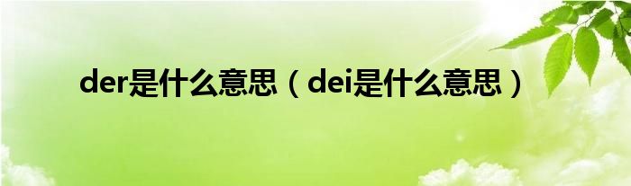 der是什么意思（dei是什么意思）