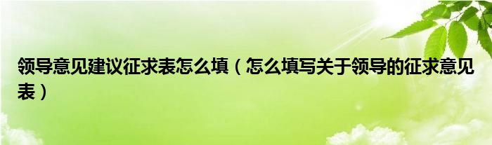 领导意见建议征求表怎么填（怎么填写关于领导的征求意见表）