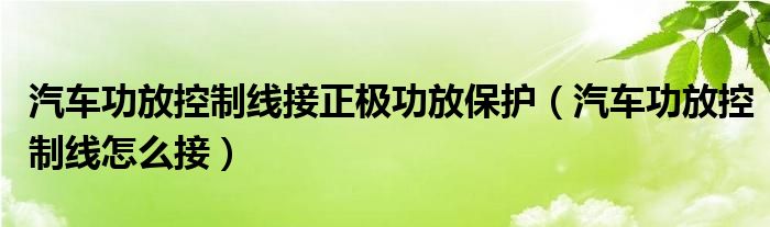 汽车功放控制线接正极功放保护（汽车功放控制线怎么接）