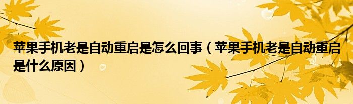 苹果手机老是自动重启是怎么回事（苹果手机老是自动重启是什么原因）