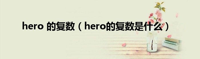 hero 的复数（hero的复数是什么）