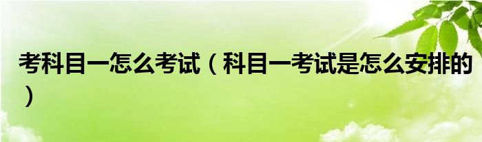 考科目一怎么考试（科目一考试是怎么安排的）