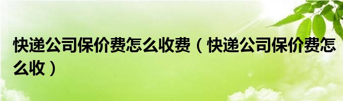 快递公司保价费怎么收费（快递公司保价费怎么收）