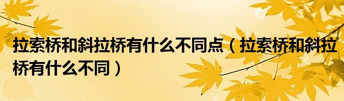 拉索桥和斜拉桥有什么不同点（拉索桥和斜拉桥有什么不同）