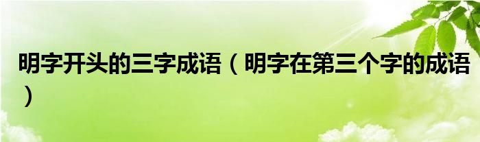 明字开头的三字成语（明字在第三个字的成语）