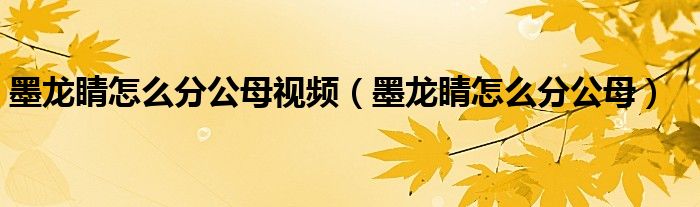 墨龙睛怎么分公母视频（墨龙睛怎么分公母）