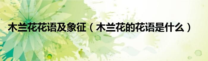 木兰花花语及象征（木兰花的花语是什么）