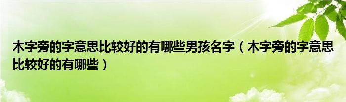 木字旁的字意思比较好的有哪些男孩名字（木字旁的字意思比较好的有哪些）