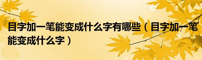 目字加一笔能变成什么字有哪些（目字加一笔能变成什么字）