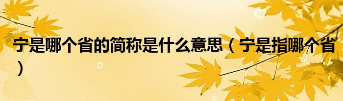 宁是哪个省的简称是什么意思（宁是指哪个省）