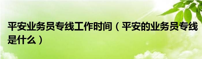 平安业务员专线工作时间（平安的业务员专线是什么）