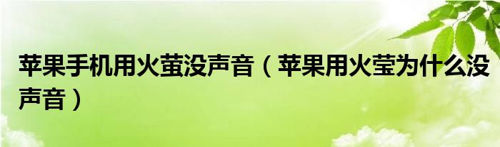 苹果手机用火萤没声音（苹果用火莹为什么没声音）