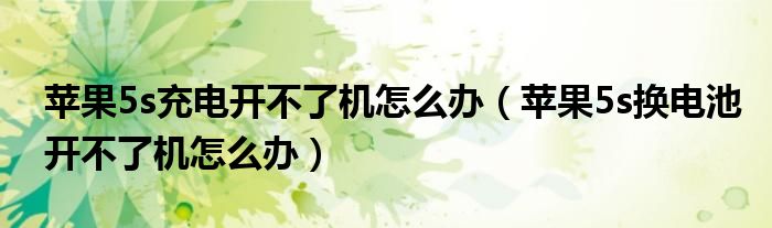 苹果5s充电开不了机怎么办（苹果5s换电池开不了机怎么办）