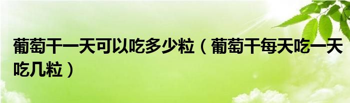 葡萄干一天可以吃多少粒（葡萄干每天吃一天吃几粒）