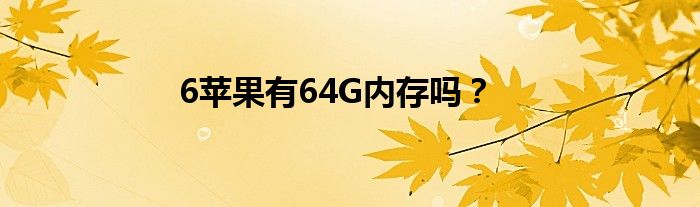 6苹果有64G内存吗？