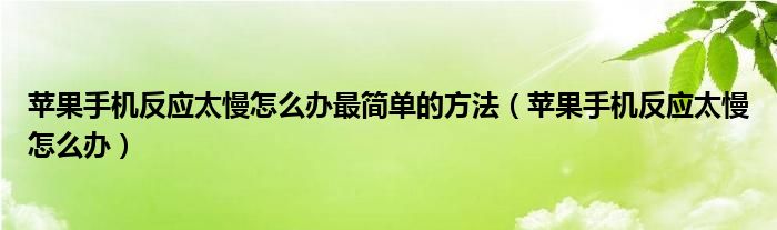 苹果手机反应太慢怎么办最简单的方法（苹果手机反应太慢怎么办）