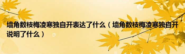 墙角数枝梅凌寒独自开表达了什么（墙角数枝梅凌寒独自开说明了什么）