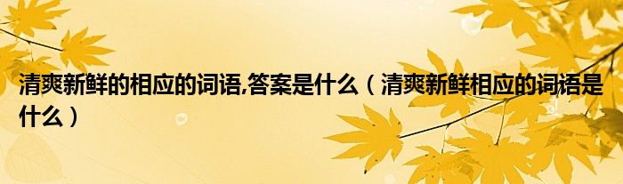 清爽新鲜的相应的词语,答案是什么（清爽新鲜相应的词语是什么）