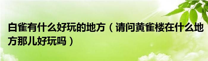 白雀有什么好玩的地方（请问黄雀楼在什么地方那儿好玩吗）