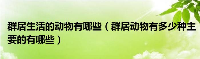 群居生活的动物有哪些（群居动物有多少种主要的有哪些）