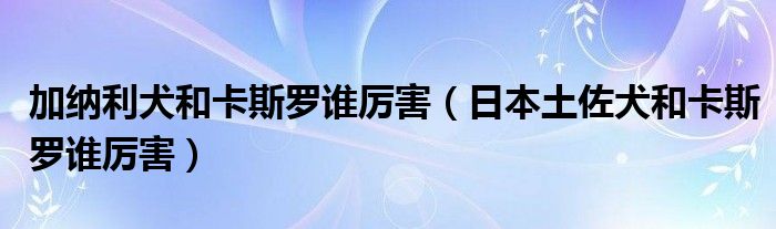 加纳利犬和卡斯罗谁厉害（日本土佐犬和卡斯罗谁厉害）