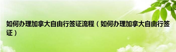 如何办理加拿大自由行签证流程（如何办理加拿大自由行签证）