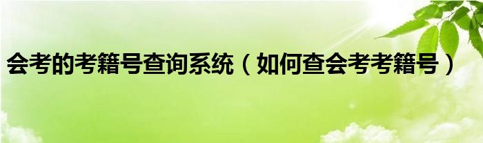 会考的考籍号查询系统（如何查会考考籍号）