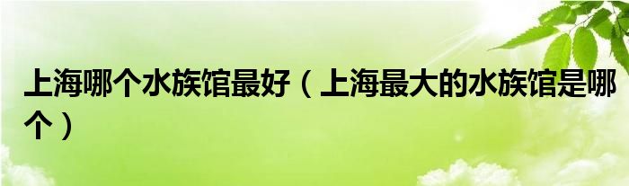 上海哪个水族馆最好（上海最大的水族馆是哪个）