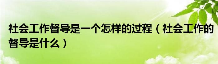 社会工作督导是一个怎样的过程（社会工作的督导是什么）