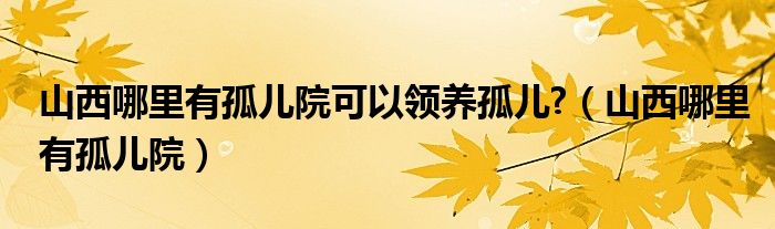 山西哪里有孤儿院可以领养孤儿?（山西哪里有孤儿院）