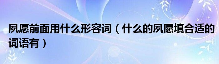 夙愿前面用什么形容词（什么的夙愿填合适的词语有）