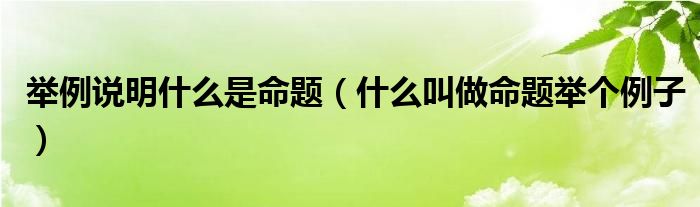 举例说明什么是命题（什么叫做命题举个例子）