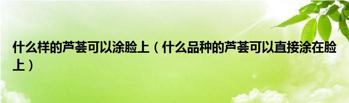 什么样的芦荟可以涂脸上（什么品种的芦荟可以直接涂在脸上）