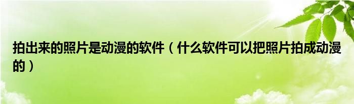 拍出来的照片是动漫的软件（什么软件可以把照片拍成动漫的）