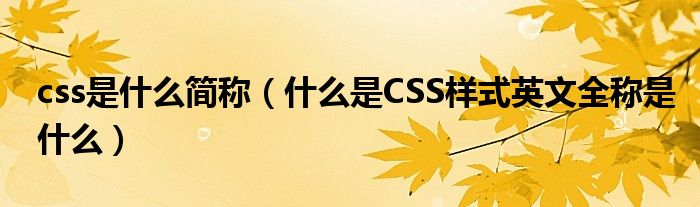 css是什么简称（什么是CSS样式英文全称是什么）