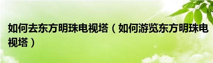 如何去东方明珠电视塔（如何游览东方明珠电视塔）