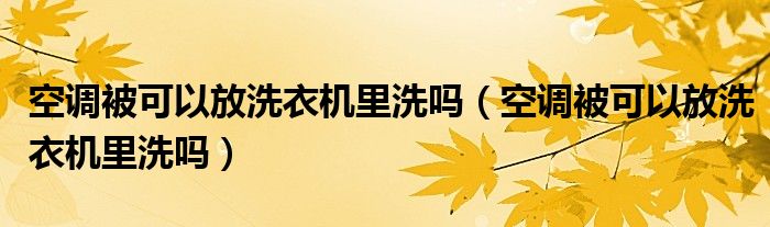 空调被可以放洗衣机里洗吗（空调被可以放洗衣机里洗吗）