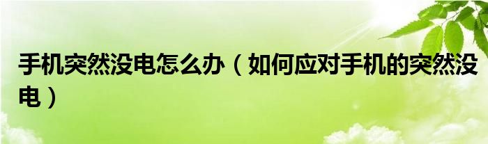 手机突然没电怎么办（如何应对手机的突然没电）